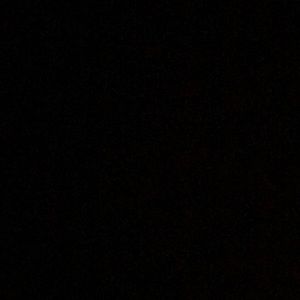 Meet your Posher, Rose